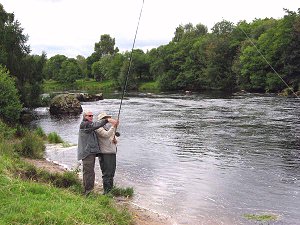 Fly Fishing and Spey Casting Tuition on the Tay and Spey.